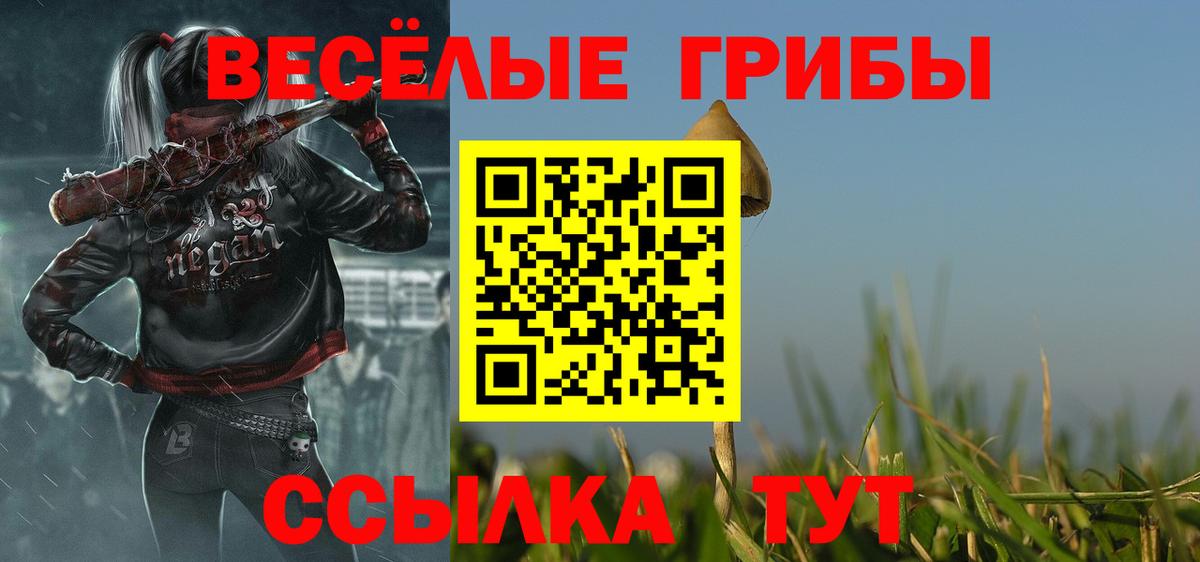 Галлюциногенные грибы прущие грибы  Псилоцибиновые грибы Magic Shrooms  Вход с VPN  Чайковский 
